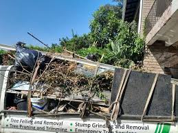 Best Estate Cleanout  in Aromas, CA